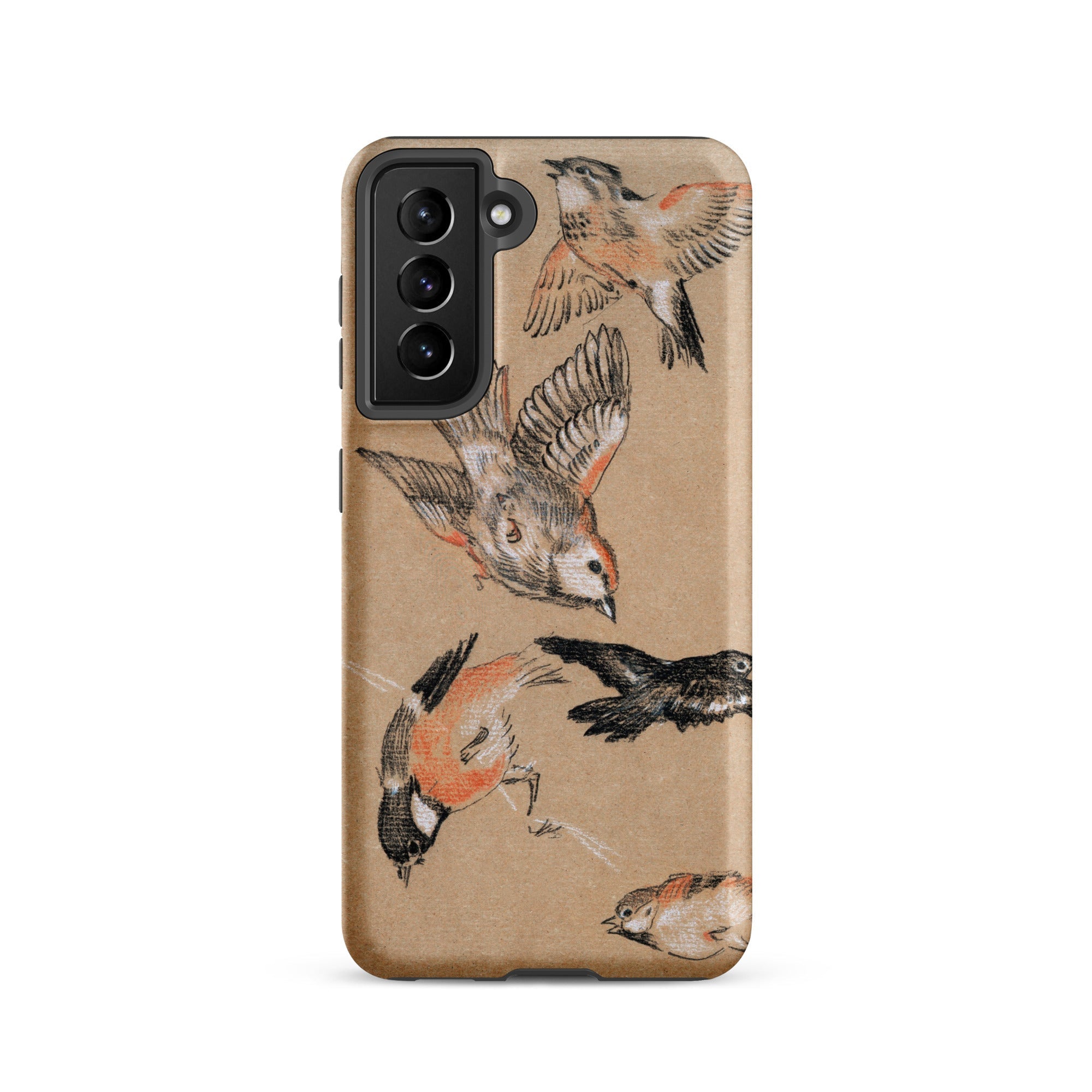 Study of Finches Edward Burne Jones Samsung Case, Galaxy S21 / Matte, Brown Phone Case Multiple Bird Illustrations