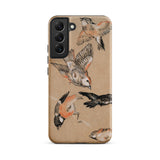 Study of Finches - Edward Burne Jones Samsung Case, Galaxy S22 Plus / Matte, Smartphone Case Beige Background Multiple Drawings Birds Poses