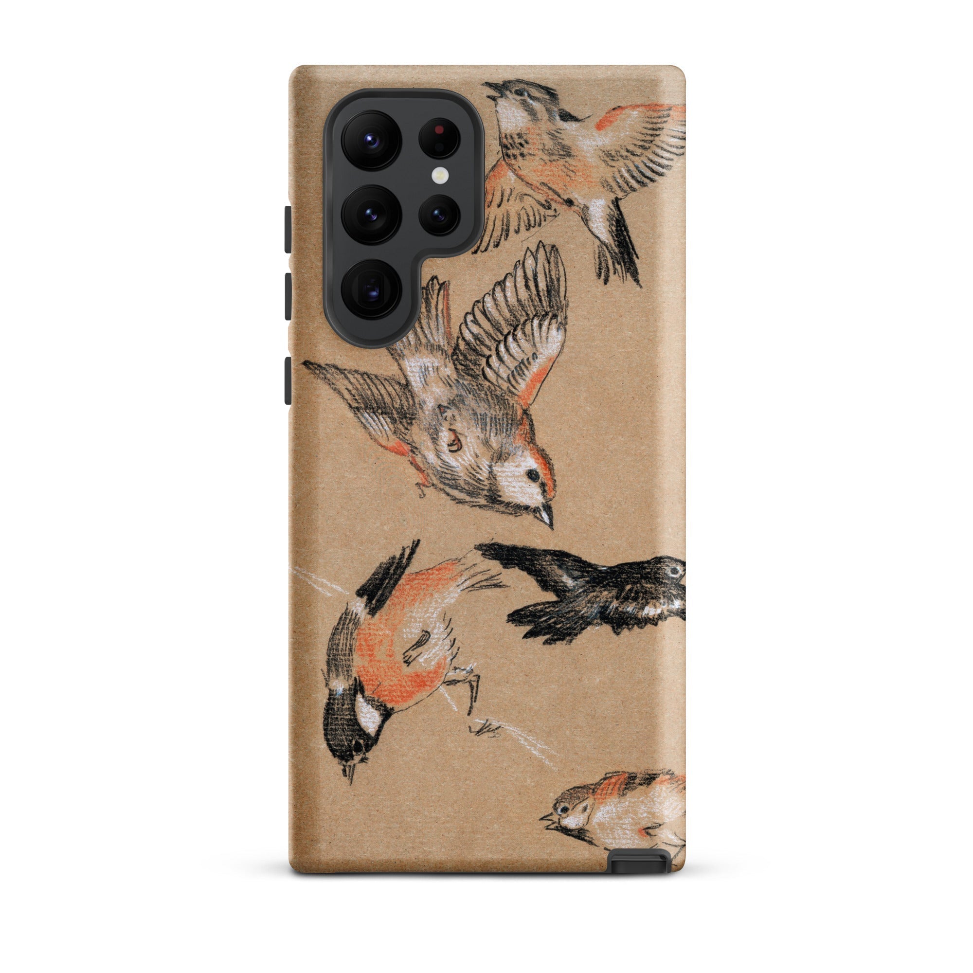 Study of Finches Edward Burne Jones Samsung Case, Galaxy S22 Ultra / Matte, Phone Case Multiple Bird Illustrations Beige Background
