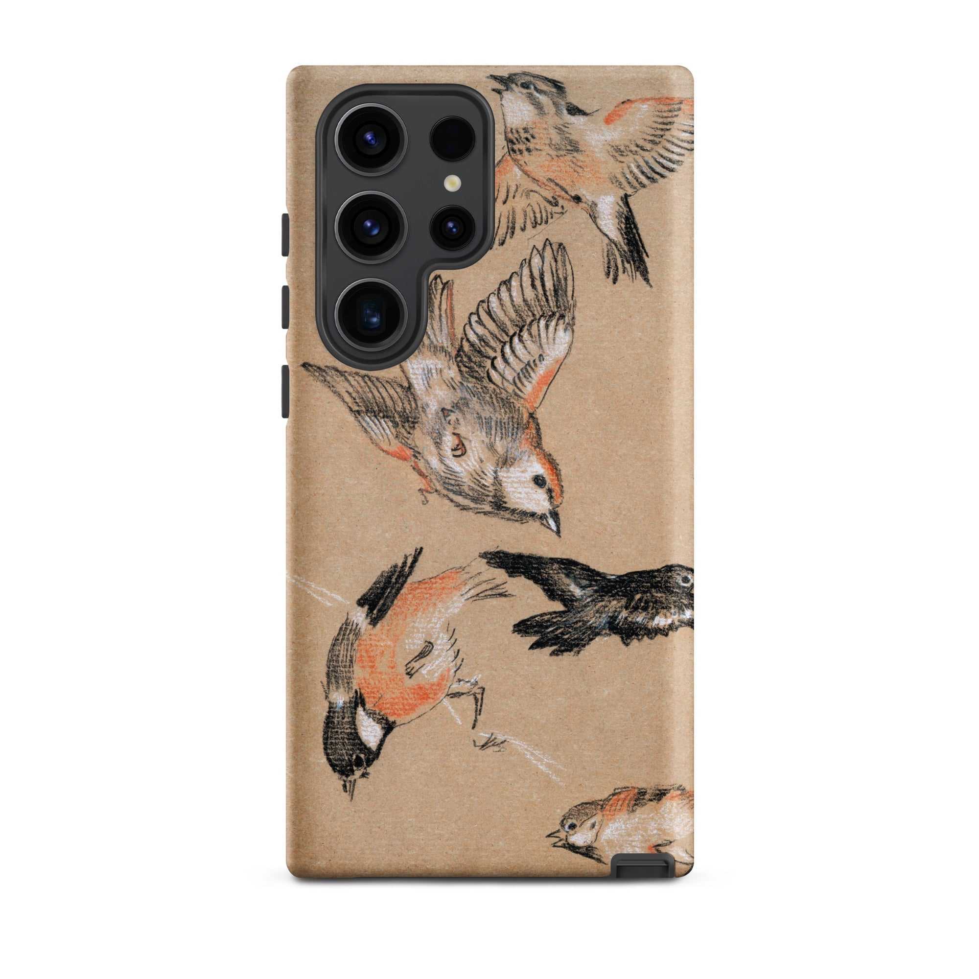 Study of Finches Edward Burne Jones Samsung Case, Galaxy S23 Ultra / Matte, Smartphone Case Multiple Bird Illustrations