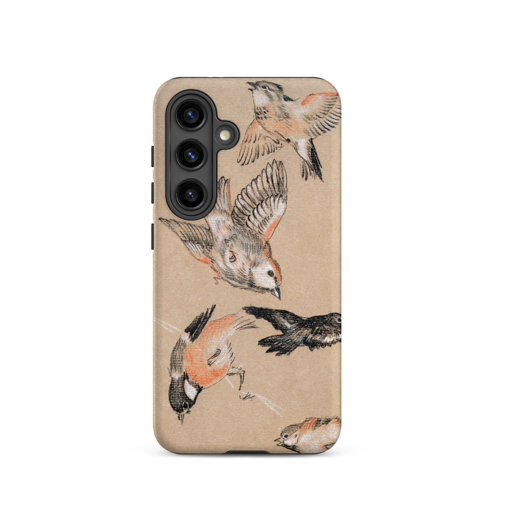Study of Finches Edward Burne Jones Samsung Case, Galaxy S24 / Matte, Beige Smartphone Case Adorned Multiple Illustrations Birds Poses