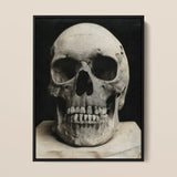 Study of a Human Skull Art Print / Canvas Black-framed Photographic Print Monochrome Human Skull Visible Teeth Bone Meets Lens, Meets, Lens