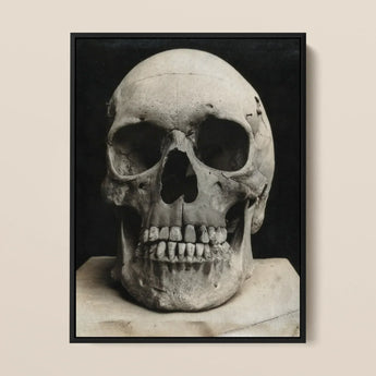 Study of a Human Skull Art Print / Canvas Black-framed Photographic Print Monochrome Human Skull Visible Teeth Bone Meets Lens, Meets, Lens