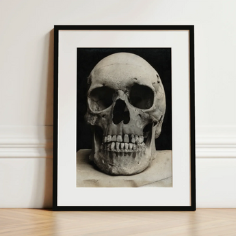Study of a Human Skull Art Print / Canvas Black-and-white Framed Photograph Human Skull Minimalist Black Frame Bone Meets Lens, Meets, Lens