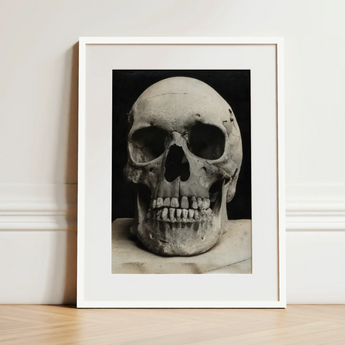 Study of a Human Skull Art Print / Canvas Black-and-white Photographic Print Human Skull White Frame Bone Meets Lens, Meets, Lens