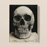 Study of a Human Skull Art Print / Canvas Framed Black-and-white Photograph Human Skull Light-colored Frame Bone Meets Lens, Meets, Lens