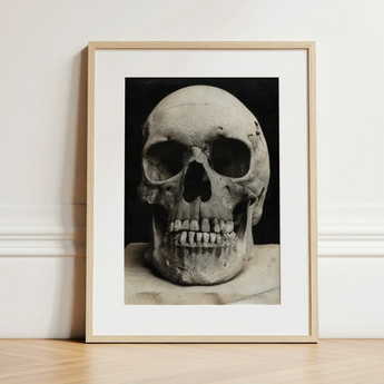 Study of a Human Skull Art Print / Canvas Framed Black White Photograph Textured Weathered Human Skull Bone Meets Lens, Meets, Lens