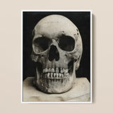 Study of a Human Skull Art Print / Canvas Monochrome Photograph Human Skull Framed White Bone Meets Lens, Meets, Lens