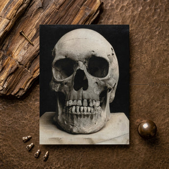 Study of a Human Skull Art Print / Canvas Monochrome Photograph Human Skull Textured Surface Rustic Metallic Bone Meets Lens, Meets, Lens