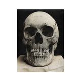Study of a Human Skull Art Print, Detailed Human Skull Replica Weathered Bone-like Finish