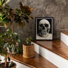 Study of a Human Skull Art Print, Framed Print Skull