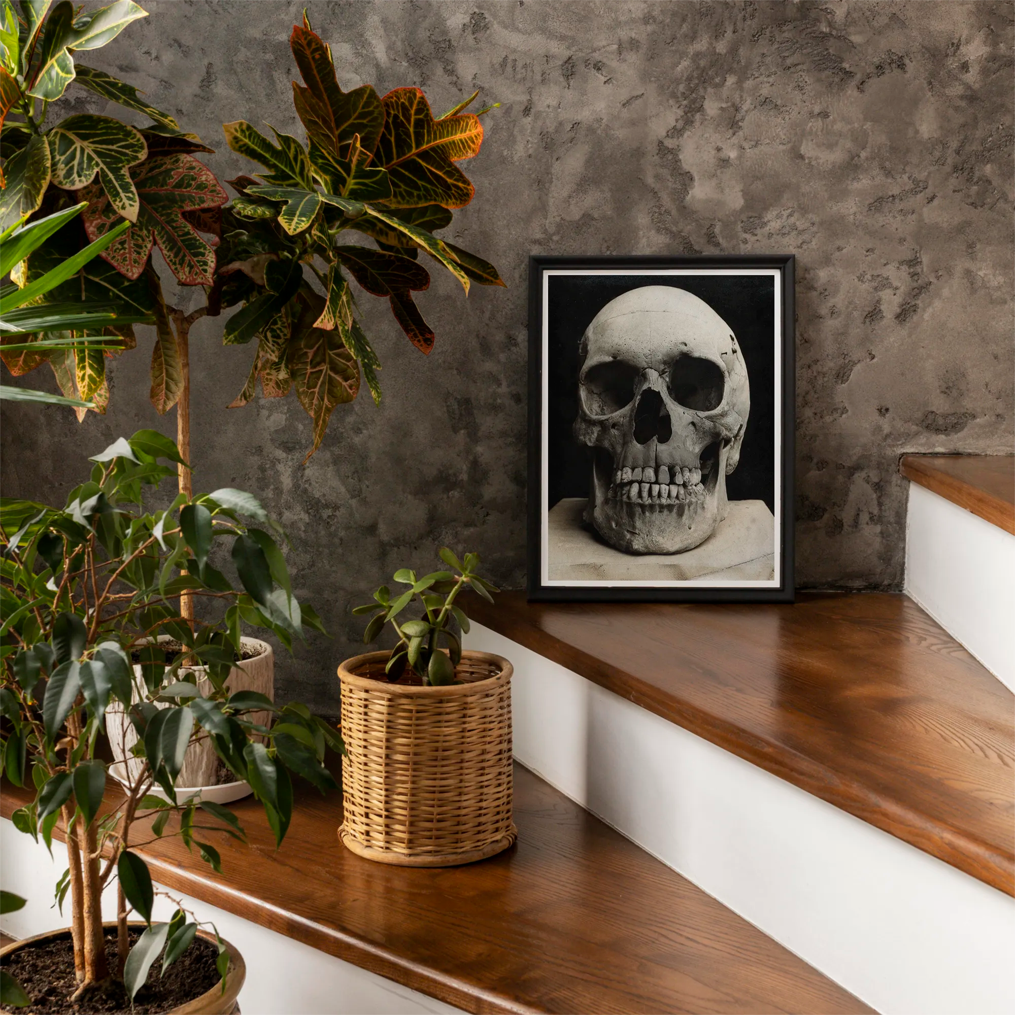 Study of a Human Skull Art Print, Framed Print Skull
