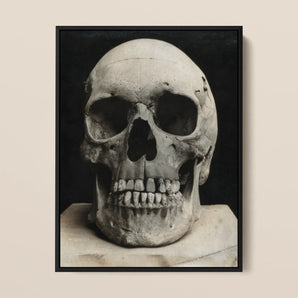 Study of a Human Skull Framed Canvas, 12x16’’ / 31x41cm / Black Floating Frame, Detailed Slightly Damaged Human Skull Sculpture Visible