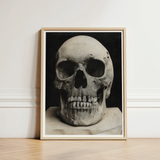Study of a Human Skull Art Print / Canvas Framed Black-and-white Photograph Textured Weathered Mounted Bone Meets Lens, Prints