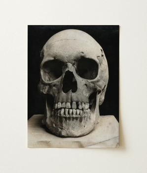 Monochrome Photograph Human Skull Captured High Contrast Deep Bone Meets Lens