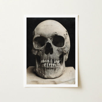 Study of a Human Skull Art Print / Canvas Monochrome Photograph Captured High Contrast Deep Bone Meets Lens, Prints