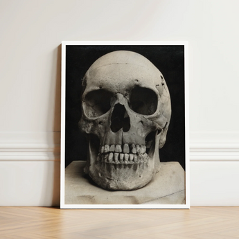 Study of a Human Skull Art Print / Canvas Framed Black-and-white Photograph Textured Weathered Mounted Bone Meets Lens, Prints