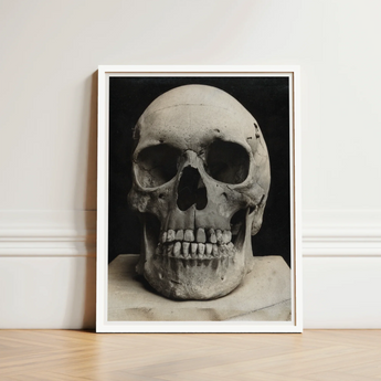 Study of a Human Skull Art Print / Canvas Framed Black White Photograph Textured Weathered Bone Meets Lens, Prints
