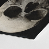 Study of a Human Skull Art Print / Canvas Black White Photographic Dark Eye Sockets Bone Meets Lens, Prints