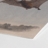 Study of a Vampire Bat - Samuel Howitt Art Print / Canvas Detailed Watercolor Illustration Brown Gray Wings Rendered, Prints