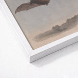Study of a Vampire Bat - Samuel Howitt Art Print / Canvas White Framed Sepia-toned Illustration Flight, Prints