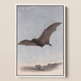 Study of a Vampire Bat - Samuel Howitt Art Print / Canvas Framed Artwork Brown Bat Mid-flight Muted Gray Sky Vampire Bat, Samuel Howitt,