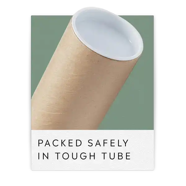 Sturdy cardboard shipping tube with a white interior.