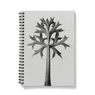 Eryngium Bourgatii (mediterranean Sea Holly) - Karl Blossfeldt Notebook A5 / Graph Notebooks & Notepads