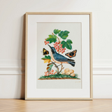 Subalpine Warbler Red Admiral Wasp Cocoon and Ants - James Bolton Art Print / Canvas Framed Botanical Illustration Blue Bird Perched