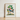 Framed Botanical Illustration Blue Bird Perched Branch Red James Bolton, Subalpine Warbler, Bolton’s Brush Weaves