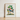 Framed Botanical Illustration Blue Bird Perched Branch Red James Bolton, Subalpine Warbler, Bolton’s Brush Weaves