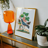 Subalpine Warbler Red Admiral Wasp Cocoon and Ants - James Bolton Art Print, Framed Artwork Bird Perched Branch Berries Leaves