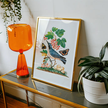 Subalpine Warbler Red Admiral Wasp Cocoon and Ants - James Bolton Art Print, Framed Artwork Bird Perched Branch Berries Leaves