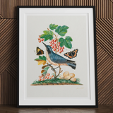 Subalpine Warbler Red Admiral Wasp Cocoon and Ants - James Bolton Art Print, Framed Artwork Bird Perched Among Berries Leaves Butterflies