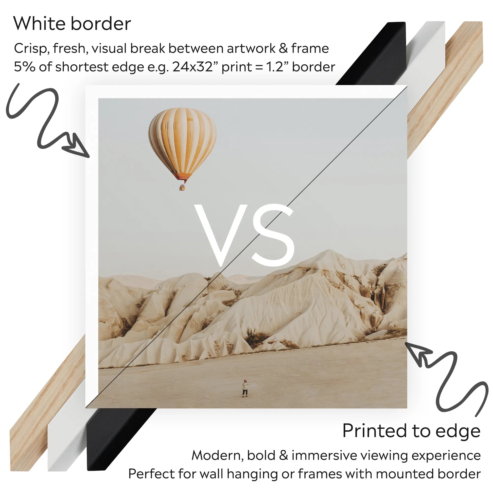 Subalpine Warbler Red Admiral Wasp Cocoon and Ants - James Bolton Art Print, Framed Artwork Comparison