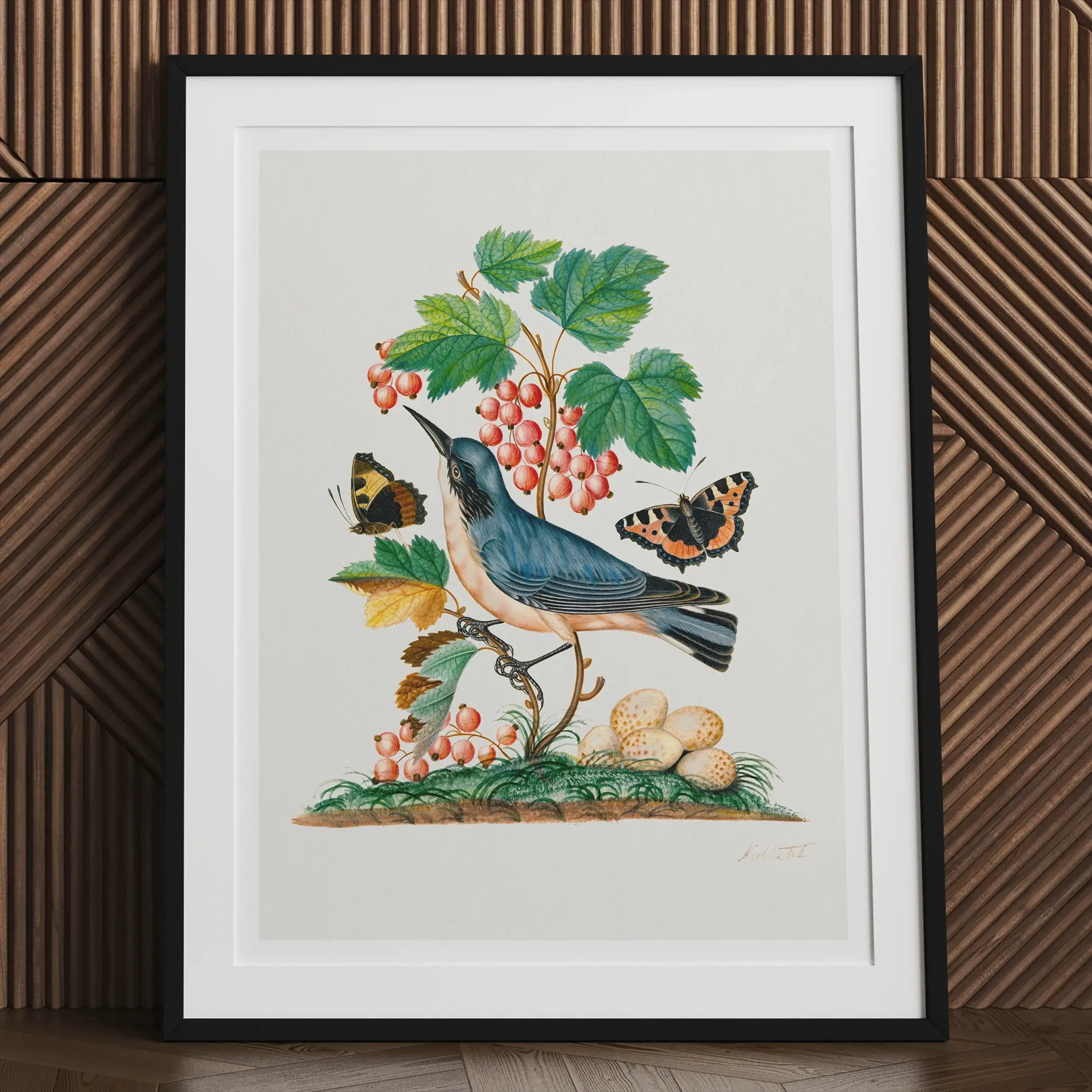 Subalpine Warbler Red Admiral Wasp Cocoon and Ants - James Bolton Art Print - Posters Prints & Visual Artwork