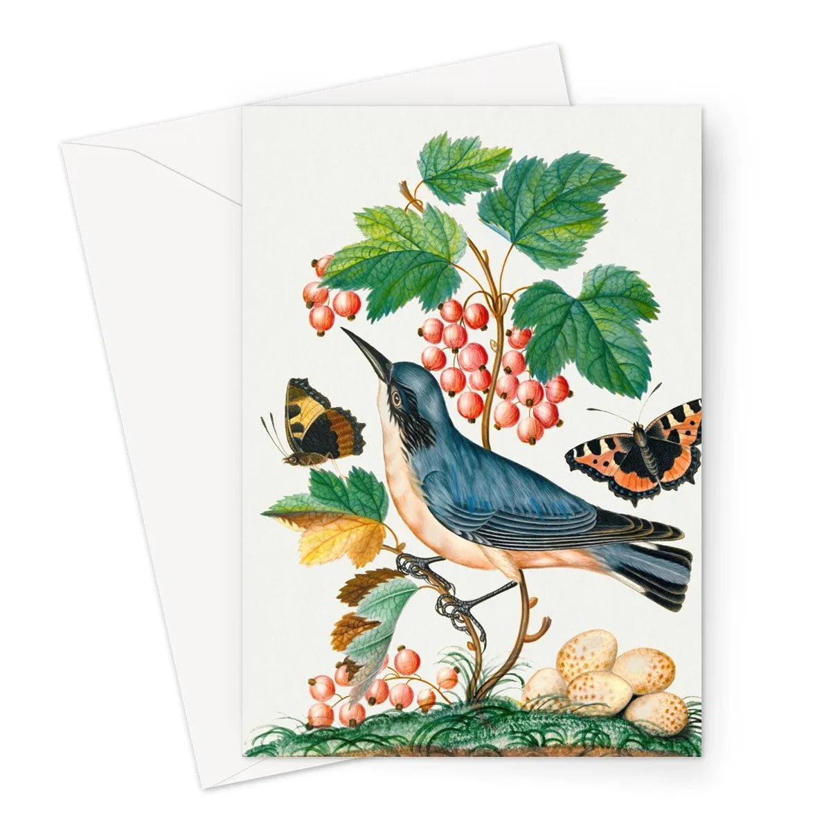 Subalpine Warbler Strawberry Red Admiral Wasp Cocoon And Ants By James Bolton Greeting Card - A5 Portrait / 1 Card