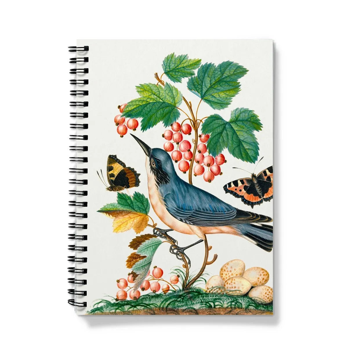Subalpine Warbler Strawberry Red Admiral Wasp Cocoon And Ants By James Bolton Notebook - A5 / Graph - Notebooks &
