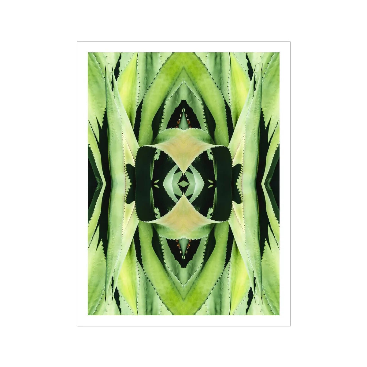 Oh So Succulent Art - Modern Botanical Prints - 30’x40’ - Posters Prints & Visual Artwork - Aesthetic Art