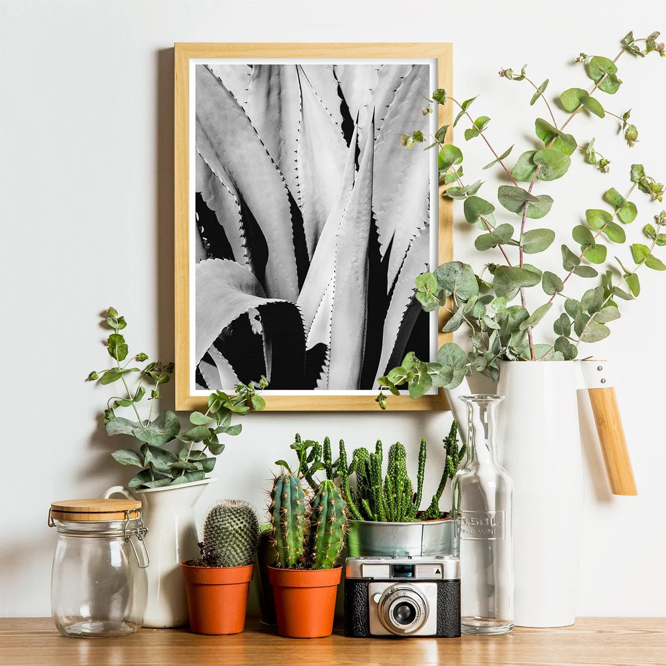 Oh So Succulent - Trippy Modern Botanical Black & White Print - 12×16 - Posters Prints & Visual Artwork - Aesthetic Art