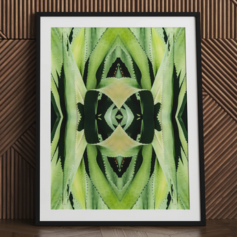 Trippy succulent botanical print in black frame