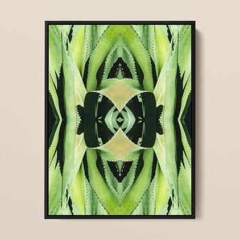 Oh so Succulent - Trippy Botanical Op Art Print / Canvas, 12x16’’ / 31x41cm / Black Frame, Posters Prints & Visual Artwork, Toby Leon