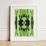 Oh so Succulent - Trippy Botanical Op Art Print / Canvas, 12x16’’ / 31x41cm / White Frame / Matboard, Posters Prints & Visual Artwork, Toby