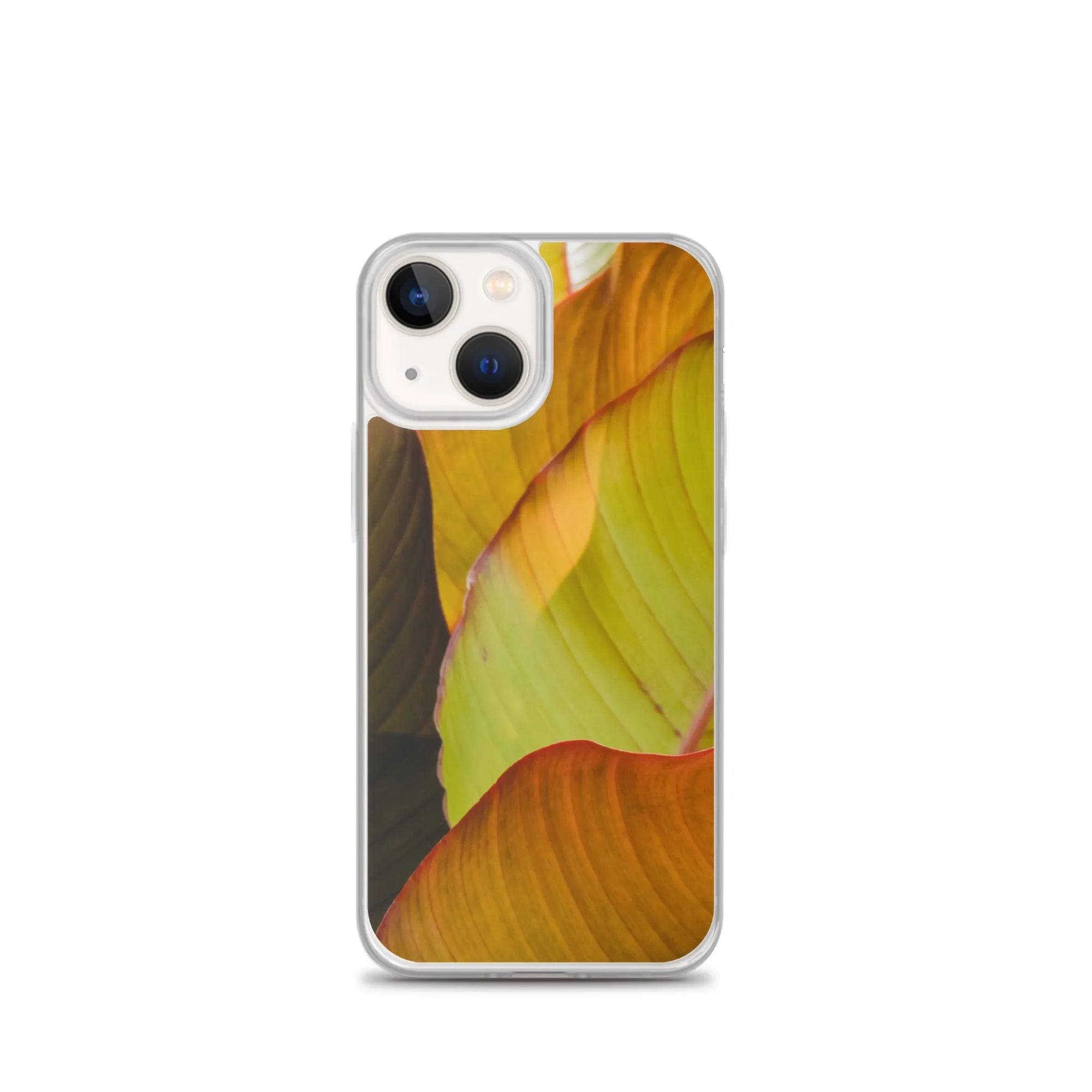 Swayed Botanical Art Iphone Case - Iphone 13 Mini - Mobile Phone Cases - Aesthetic Art