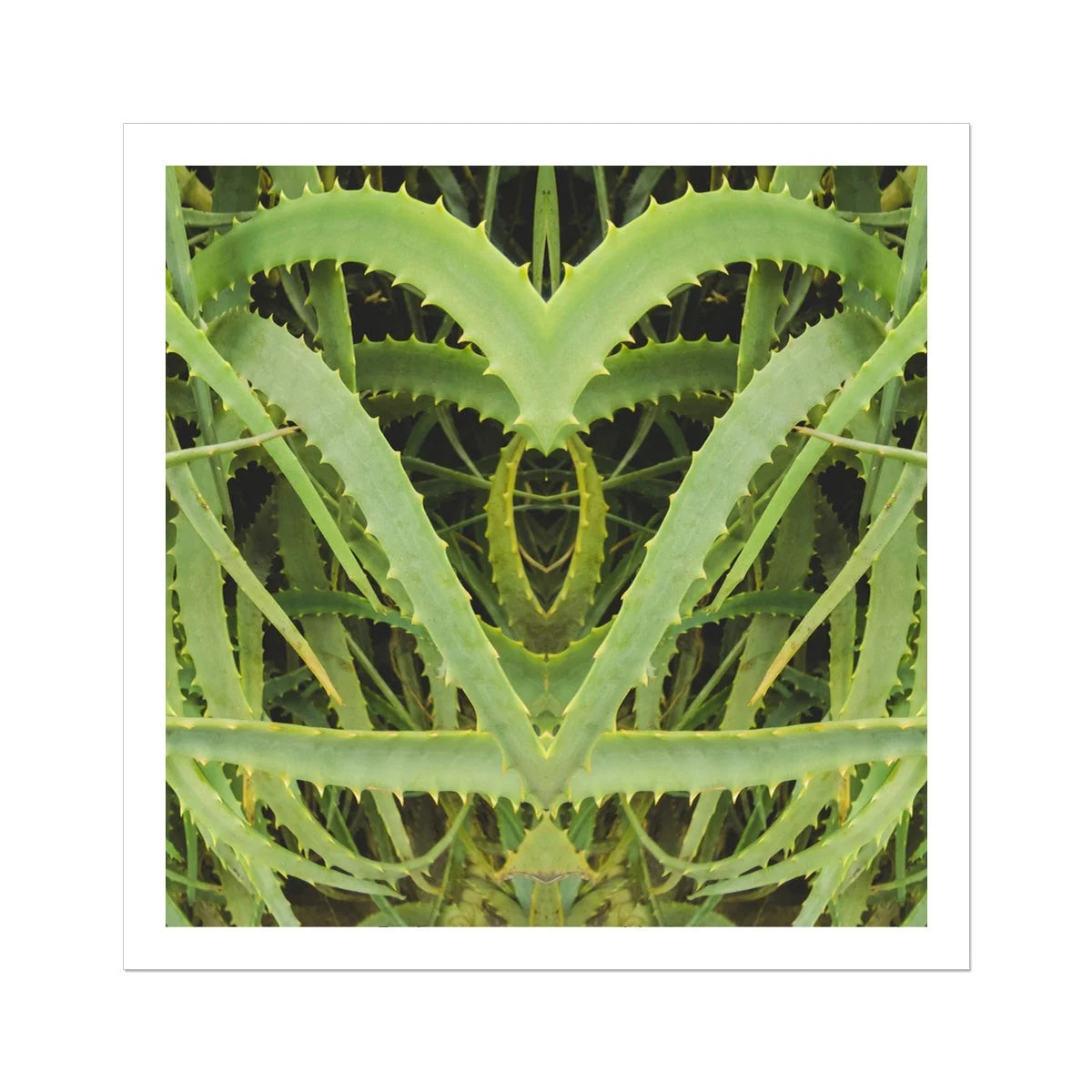 Spiked - Trippy Aloe Vera Botanical Art Print 30’’x30’’ Posters Prints & Visual Artwork