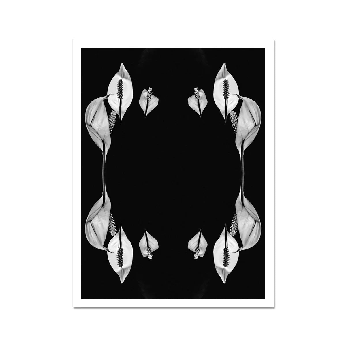 Pearly Whites - Koh Chang Rorschach Lilies Art Print 12’’x16’’ Posters Prints & Visual Artwork