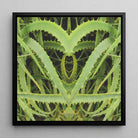 Spiked - Contemporary Aloe Vera Botanical Art Framed Canvas Posters Prints & Visual Artwork