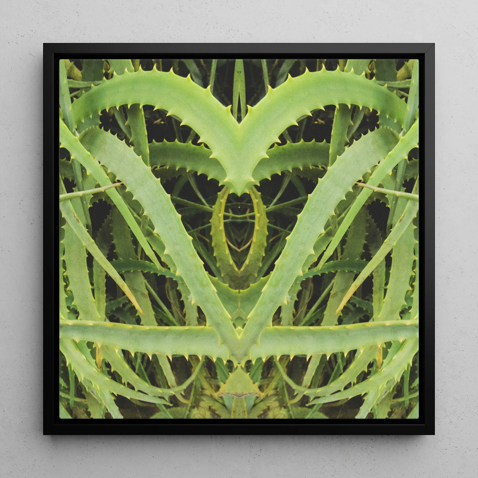 Spiked - Contemporary Aloe Vera Art Framed Canvas Posters Prints & Visual Artwork