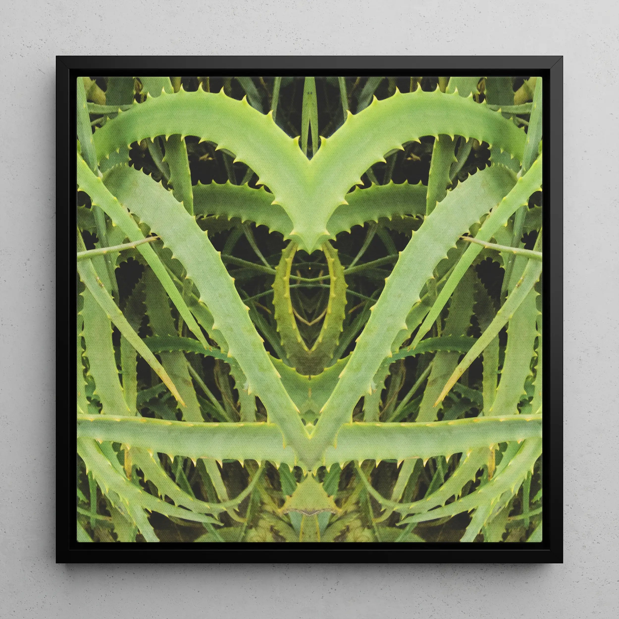 Spiked - Contemporary Aloe Vera Botanical Art Framed Canvas Posters Prints & Visual Artwork