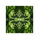 Reach out - Contemporary Botanical Op Art Print Posters Prints & Visual Artwork